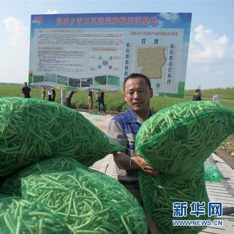 (苹果14.2官网下载)探索苹果iOS 14正式版官网:全新功能详解与下载指南