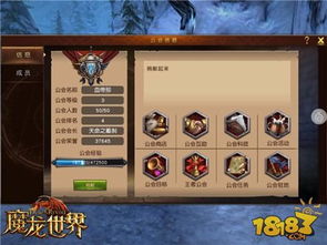 (魔龙世界攻略大全 玩家必看宝典)全面解析魔龙世界攻略：从新手入门到高手进阶的必备指南