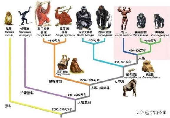 (地球 纪元)地球纪元顺序表:探索人类历史与未来之变迁 (地球 纪元)地球纪元顺序表:探索人类历史与未来之变迁