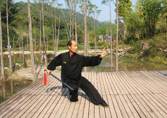 (罗征武当太极剑视频)揭秘罗征49式武当太极剑的神秘绝技与传承