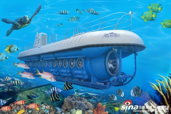 (海底世界的潜水)探秘神秘海底世界:潜水艇介绍视频全方位解读