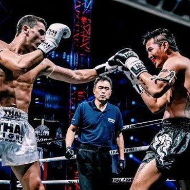 完全解析:《三界手游》终极攻略大全,实战技巧揭秘及各种职业角色属性选择指南