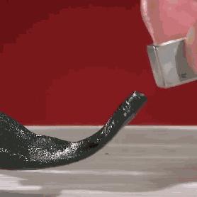 (史莱姆是一种什么生物)探究史莱姆是什么？解密这种神秘生物的起源和特点