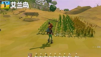 游戏艾兰岛中的象草叶片是什么样子，如何辨别？