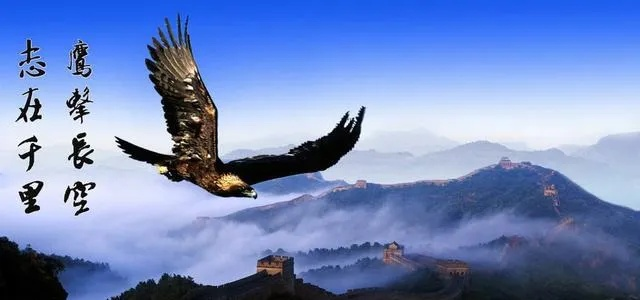 (稳健如飞)稳健如骑马而行，不断前行，以备不时之需