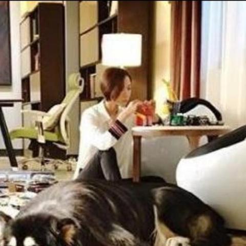 (杜拉拉升职记王珞丹版杜拉拉电视剧)杜拉拉玨班的电视剧大全：王珞丹版全集剧情介绍和观后感分享