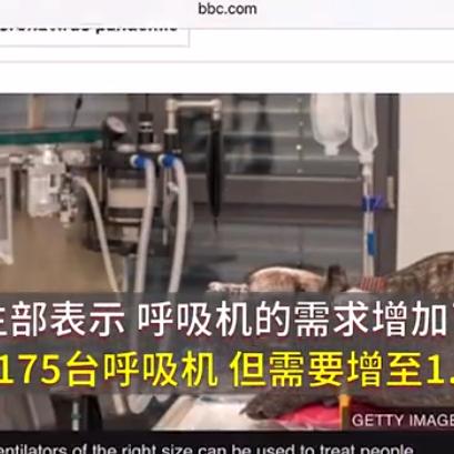 (消除方块救动物的游戏)消除方块救人小游戏：挑战你的智慧与反应，拯救被困的伙伴！