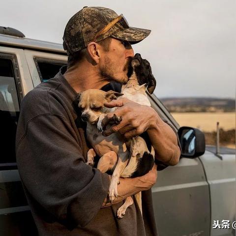 (消除方块救动物的游戏)消除方块救人小游戏：挑战你的智慧与反应，拯救被困的伙伴！