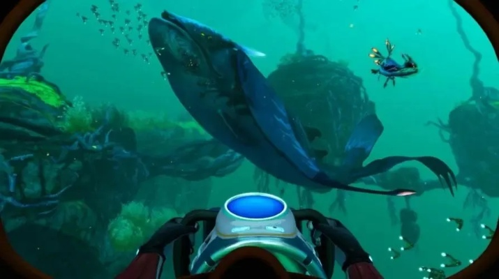 (深海 游戏)探秘深海游戏：从价格到玩法，深度揭秘深海游戏的价值和乐趣