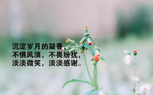 (回家离家的说说心情短语人生感悟)离家远游,回家回家我需要你歌曲,唤回心底深处的柔情 (回家离家的说说心情短语人生感悟)离家远游,回家回家我需要你歌曲,唤回心底深处的柔情