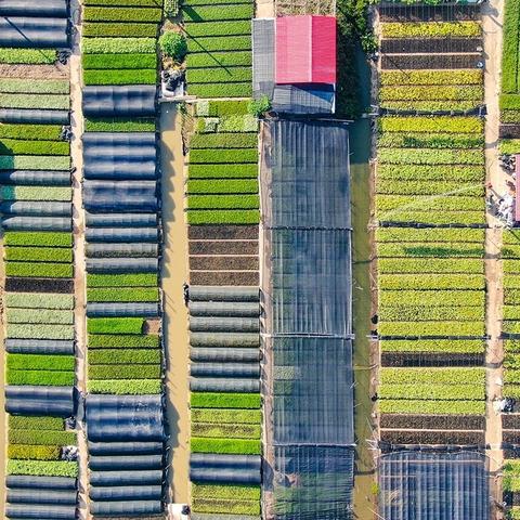 (颜色探索游戏)探索多彩世界:挑战色块地形的益智策略游戏 (颜色探索游戏)探索多彩世界:挑战色块地形的益智策略游戏