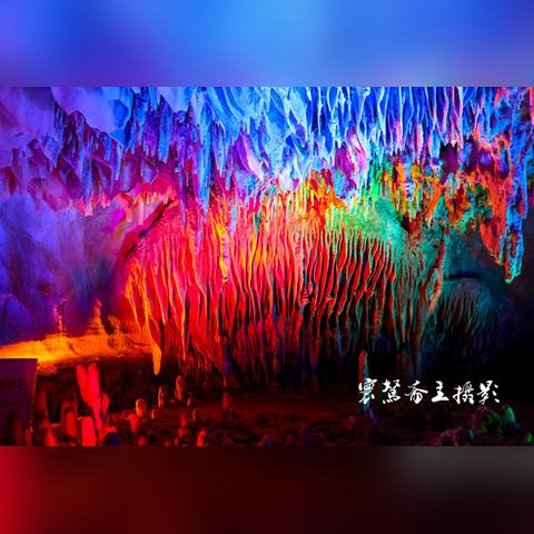 逍遥情缘手游瑶池孩子加点攻略：如何根据角色特性和游戏需求进行科学加点